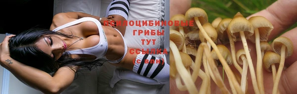 амфетамин Покровск
