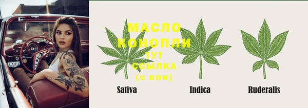 сатива Пересвет
