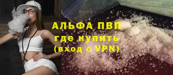 сатива Пересвет