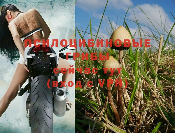 spice Пестово