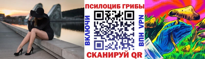 Псилоцибиновые грибы Psilocybine cubensis  даркнет сайт  Боготол 