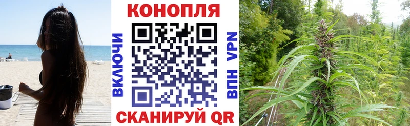 где купить наркотик  Боготол  Бошки марихуана MAZAR 